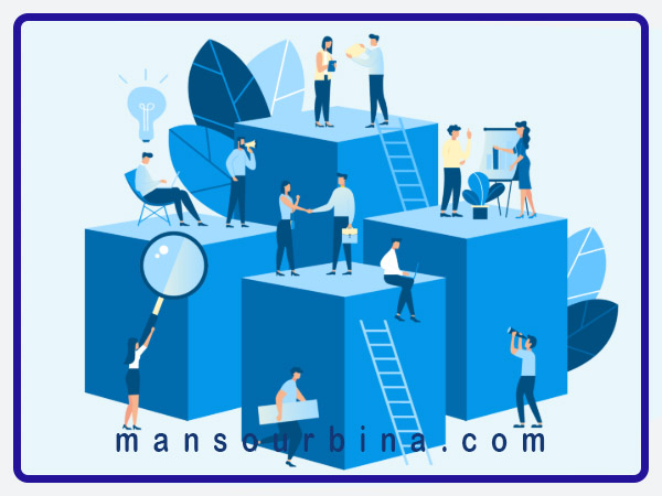 سازمان سازی با نگاهی تعالی گرا