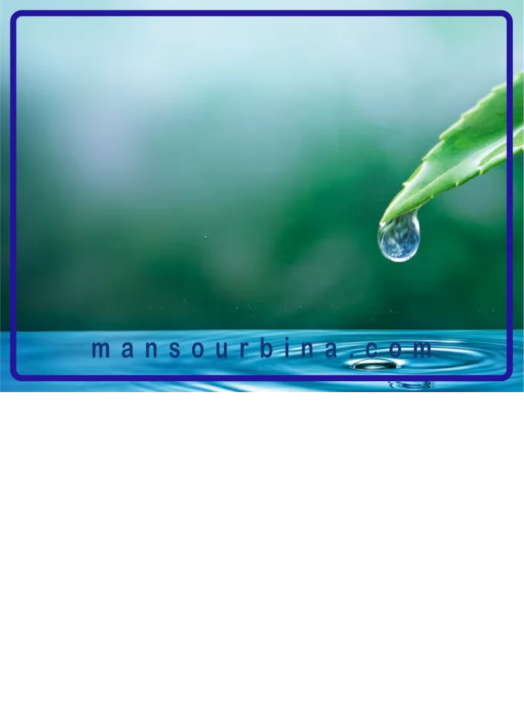 هدف واقعی زندگی